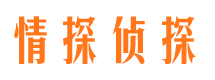 潢川侦探